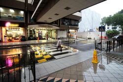 Orchard Towers (D9), Retail #504865101